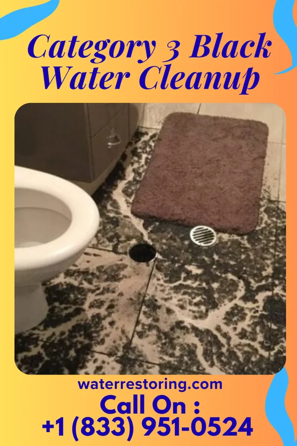 Category 3 Black Water Cleanup in Hersey, MI