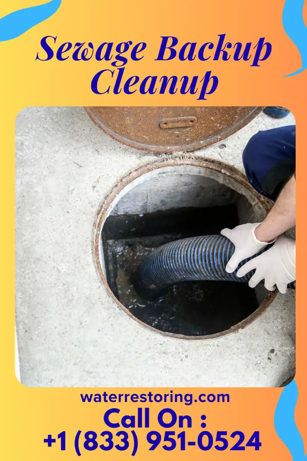 Sewage Backup Cleanup in Hersey, MI